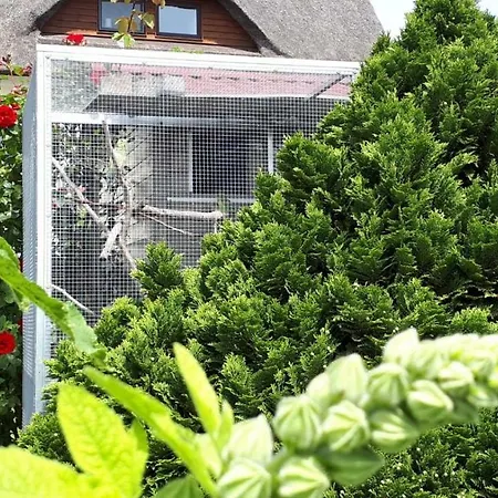 Monchgut Boddenblick 1 Appartement Groß Zicker